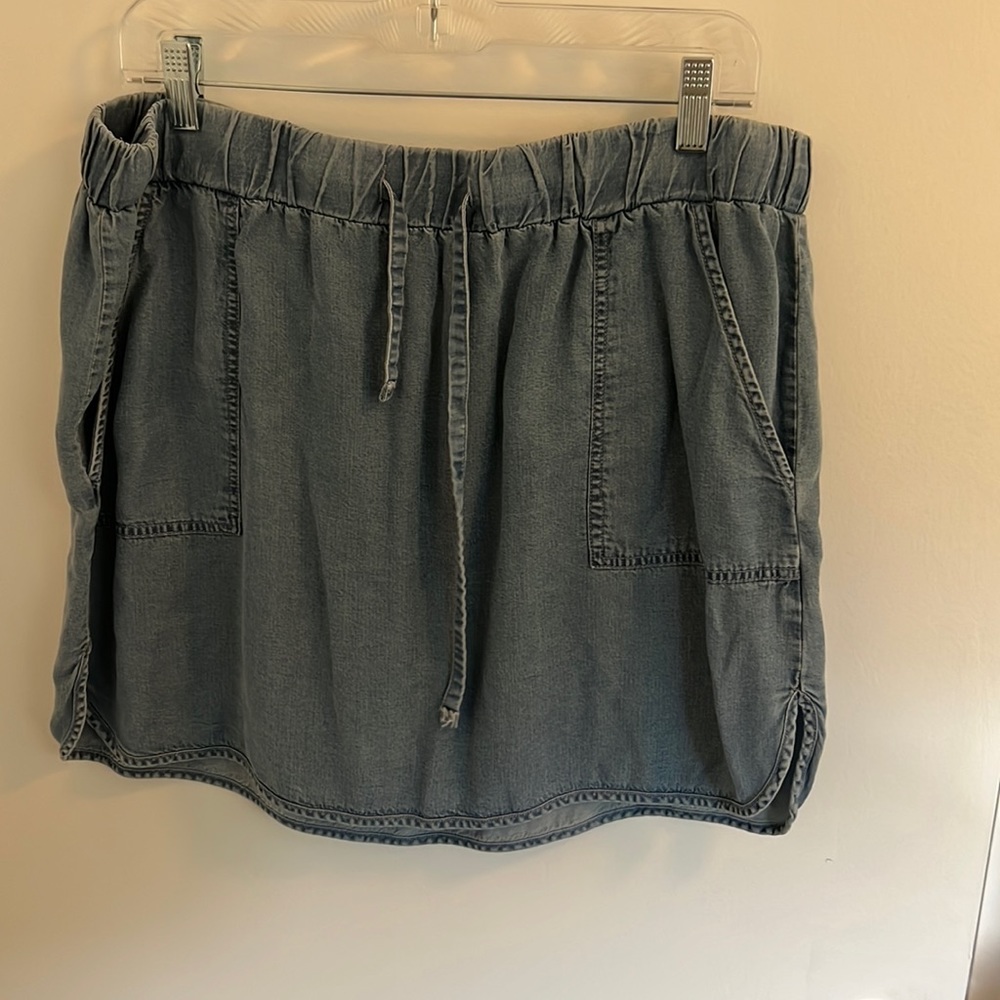 Express Chambray Skirt